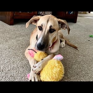 Meet your Posher, Staci